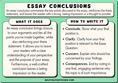 How Many Sentences Should a Conclusion Be in an Essay? – A Deep Dive into Conclusion Lengths and Their Impact on Essays